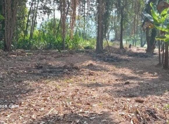 Residential Land for Sale