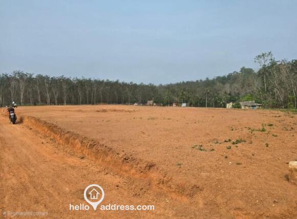 Commercial Land for Sale