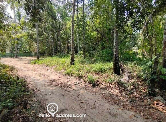 Residential Land for Sale