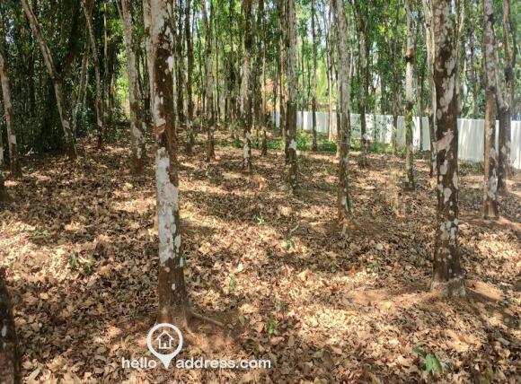 40.7 cents residential property at Vettiyar, Alleppey District