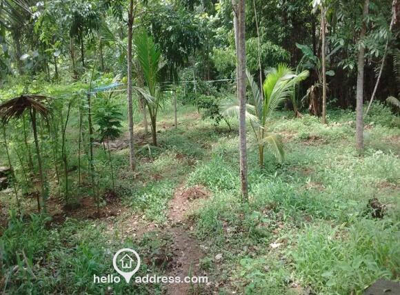 Prime Land - Maramon Chettimuku Junction