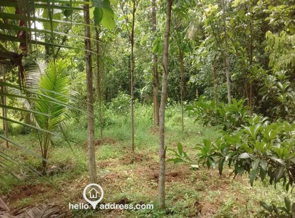 Prime Land - Maramon Chettimuku Junction