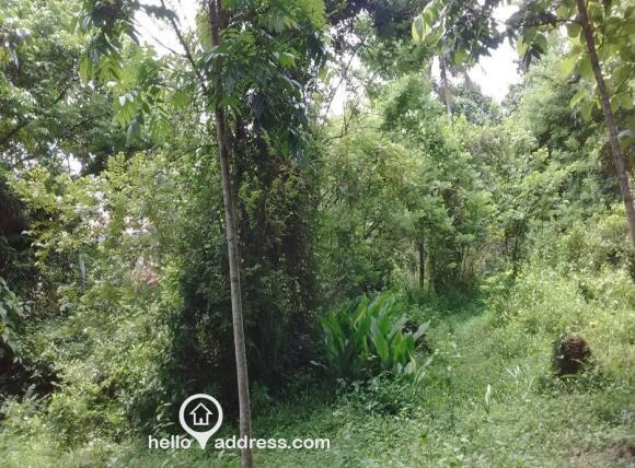 Prime Land - Maramon Chettimuku Junction