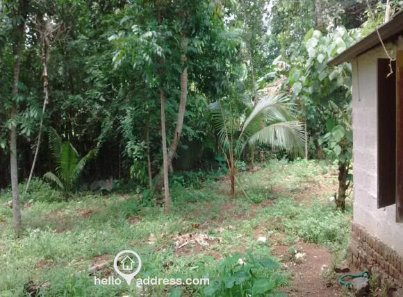 Prime Land - Maramon Chettimuku Junction