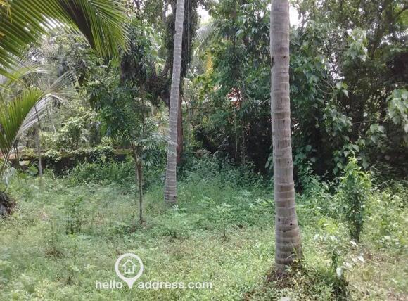 Prime Land - Maramon Chettimuku Junction