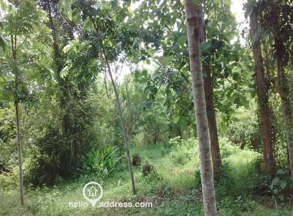 Prime Land - Maramon Chettimuku Junction
