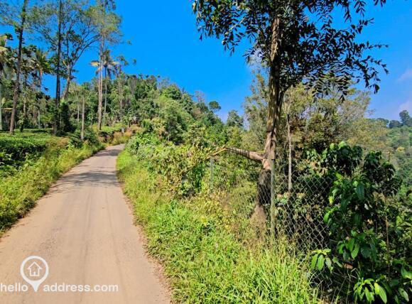 Commercial Land for Sale