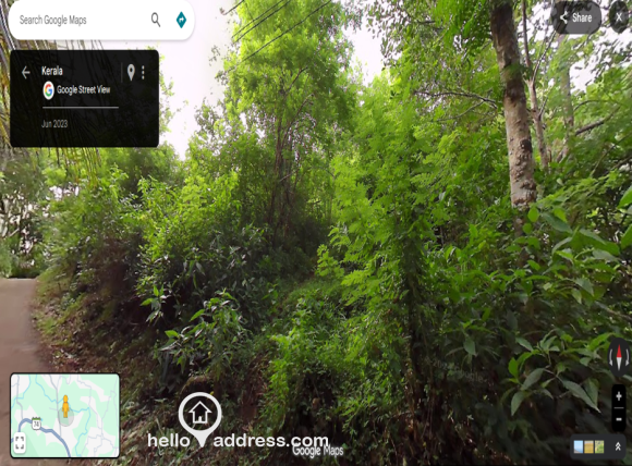 google image from road