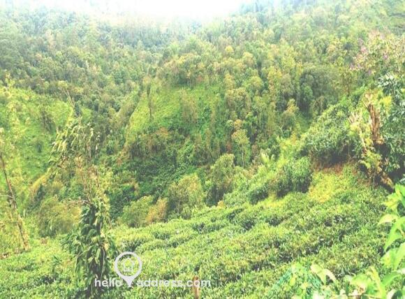 Agricultural Land for Sale