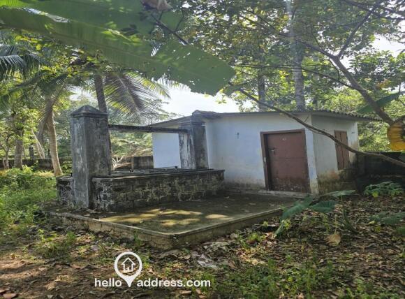 Well and shed present in the property