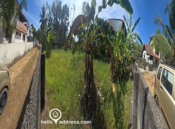 Panorama of the plot from outside.