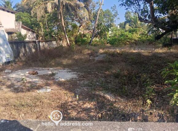 The rectangle plot inside 4 walls