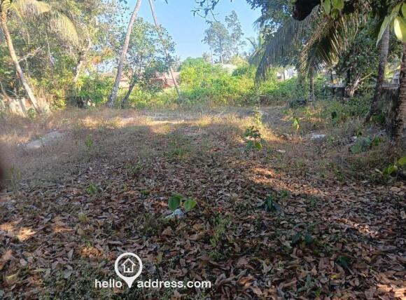 The rectangle plot inside 4 walls