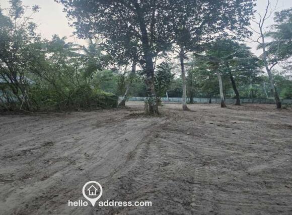 Land at kochanakulangara, Muhamma