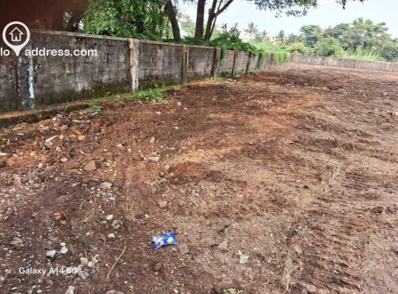 Commercial Land for Sale