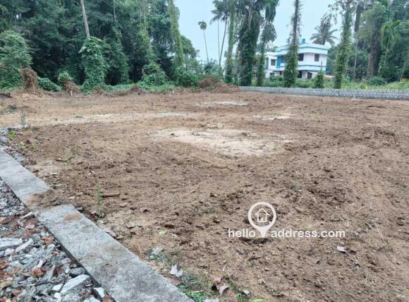 21 cents plot for sale in manjummel(purayidam) @ 7 lakhs per cent