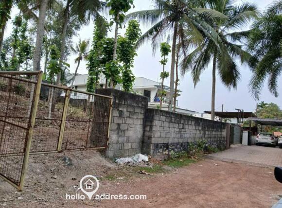 Front Wall and the Road