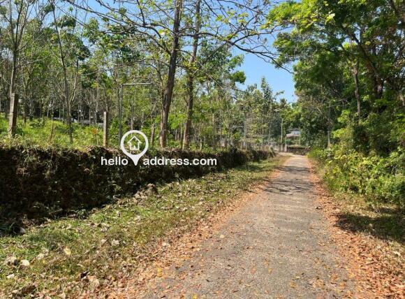 Agricultural Land for Sale