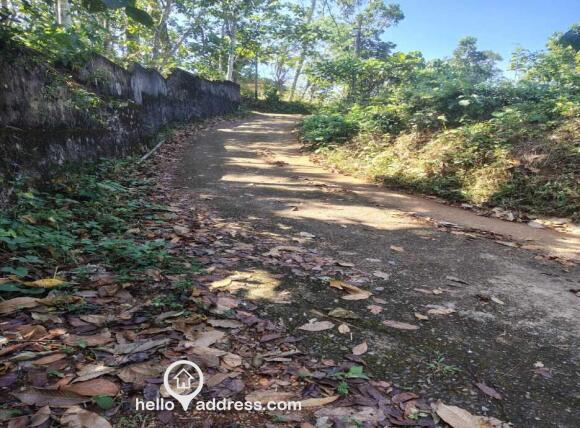 Connecting path to main road