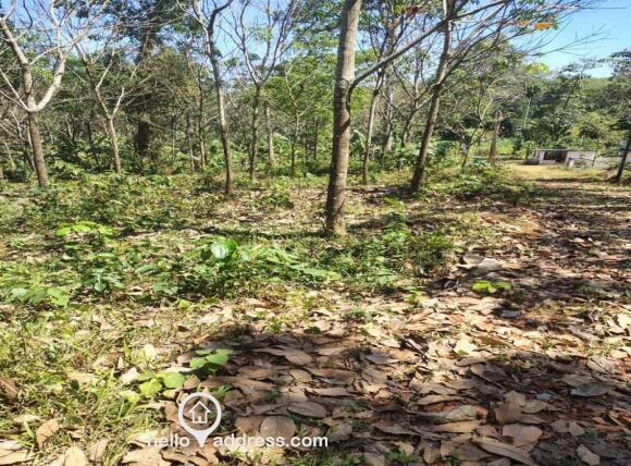 Access to site from path