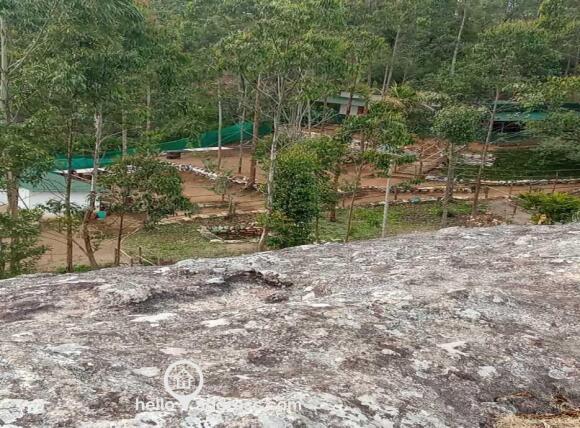 Aerial view of the plot