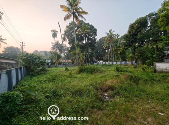 LAND FOR LEASE. SUITABLE FOR COMMERCIAL PURPOSE, TURF, CAR SHOW ROOM, EDUCATIONAL INSTITUTIONS