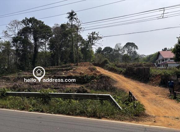 Top to down whole property area