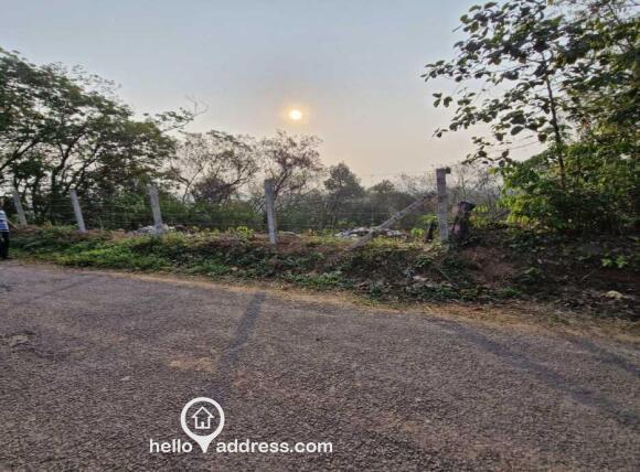 From the road in front of the transformer factory