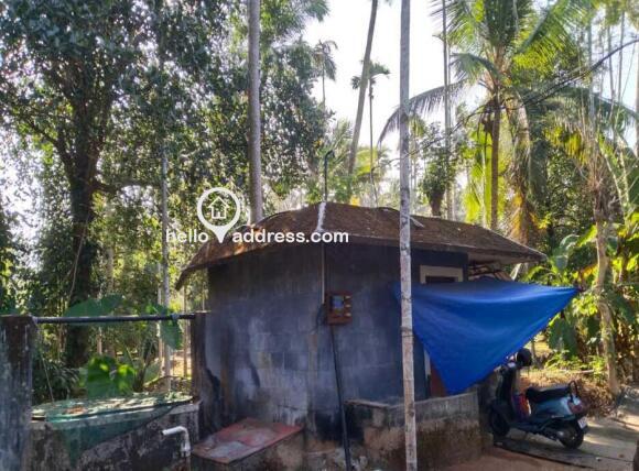 Agricultural Land for Sale