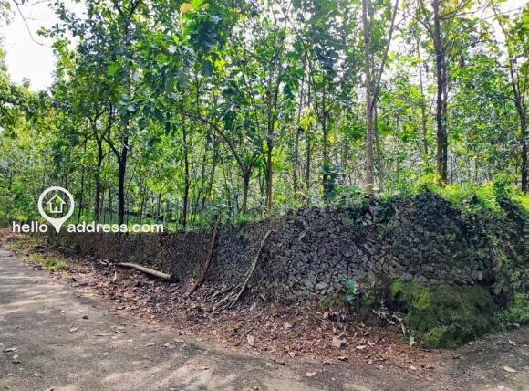 Agricultural Land for Sale