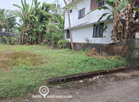 Plot Right Side View