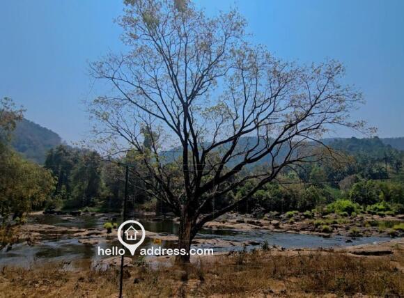 Commercial Land for Sale