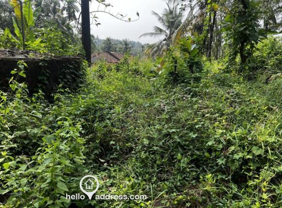 Commercial Land for Sale