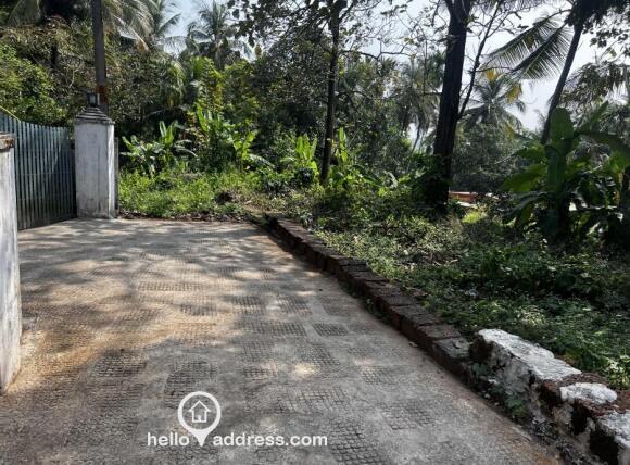 Commercial plot for sale