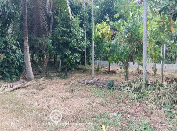 Commercial Land for Sale