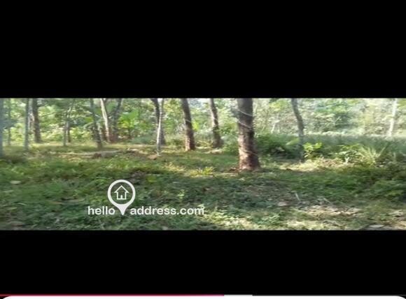 കൃഷി ഭൂമി വില്പനയ്ക്ക് 