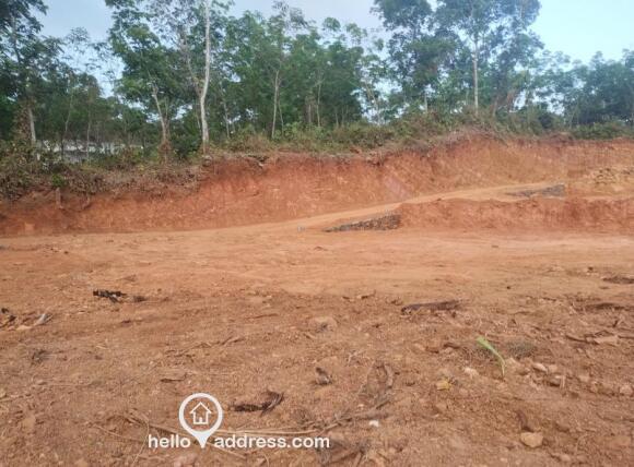 7. 5 cents and 7 cents