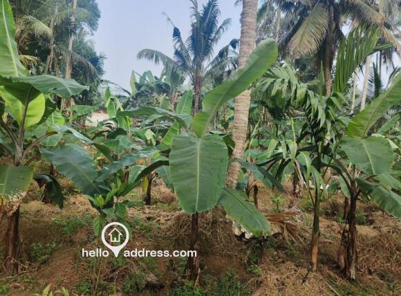 Agricultural Land for Sale