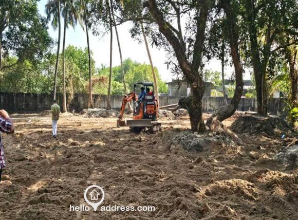Graded & Levelled with only Mango Trees, Coconut Palms and few other treesand