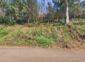 Residential Land for Sale in Kottayam, Pampady, Pampady, vattamalapadi