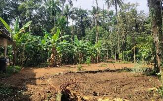 Residential Land for Sale in Kottayam, Kottayam town, Thiruvathukkal, ilampalli bridge