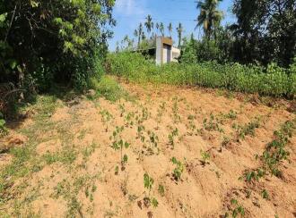 Residential Land for Sale in Idukki, Thodupuzha, Thodupuzha town, Near Uthram Regency Convention, Mangattukavala