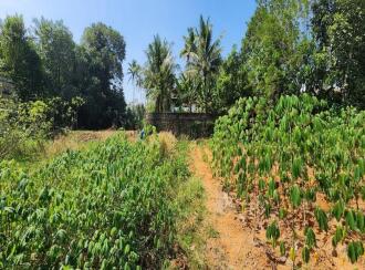 Residential Land for Sale in Idukki, Thodupuzha, Thodupuzha town, Near Uthram Regency Convention, Mangattukavala