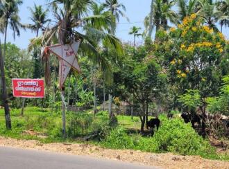 Residential Land for Sale in Trivandrum, Thiruvananthapuram, Kattakkada
