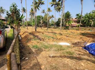 വാസയോഗ്യമായ ഭൂമി വില്പനയ്ക്ക് എറണാകുളം, Perumbavoor, Permbavoor town, കാരാട്ട്പള്ളി കൊന്നംകുടി റോഡ്‌, ഒന്നാം മൈൽ