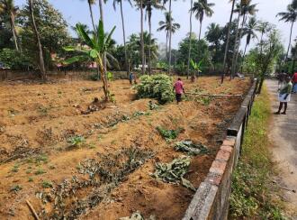വാസയോഗ്യമായ ഭൂമി വില്പനയ്ക്ക് എറണാകുളം, Perumbavoor, Permbavoor town, കാരാട്ട്പള്ളി കൊന്നംകുടി റോഡ്‌, ഒന്നാം മൈൽ