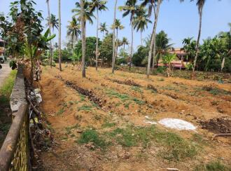 വാസയോഗ്യമായ ഭൂമി വില്പനയ്ക്ക് എറണാകുളം, Perumbavoor, Permbavoor town, കാരാട്ട്പള്ളി കൊന്നംകുടി റോഡ്‌, ഒന്നാം മൈൽ