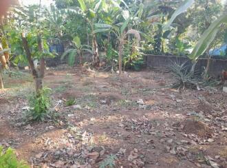 Residential Land for Sale in Trivandrum, Thiruvananthapuram, Mukkola, Sahridya Lane