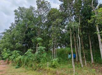 വാസയോഗ്യമായ ഭൂമി വില്പനയ്ക്ക് Trivandrum, Thiruvananthapuram, Mylam