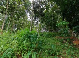 വാസയോഗ്യമായ ഭൂമി വില്പനയ്ക്ക് Trivandrum, Thiruvananthapuram, Mylam